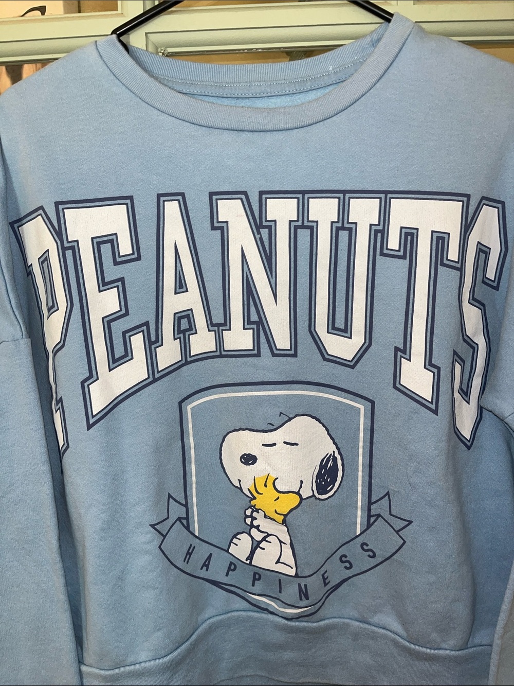 Peanuts Light Blue Crewneck Sweatshirt with Snoopy Graphic - Picture 4 of 10